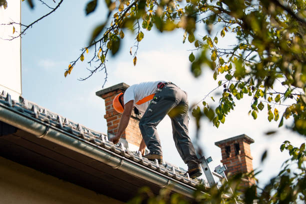 Best Roof Waterproofing Services  in Cleary, MS